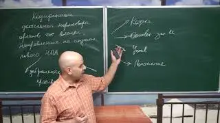 Определения для ОГЭ и ЕГЭ. Кодификация