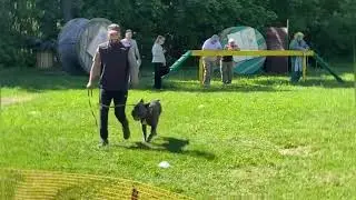Состязания по АПС -1, Квин Из Созвездия Адомаса.