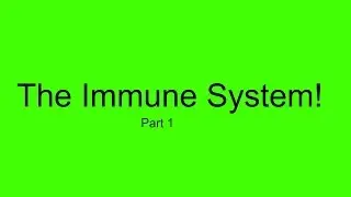 Immune system part 1!
