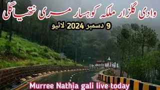 Murree live today | #murree weather today | Nathia gali today | murree #snowfall update #2024