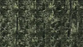 Wolfgang Voigt - Werkschau (english)