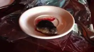 МУЙНЕ