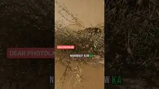 Dear PHOTOLAB 🤣🤣 #subscribe #comedy #comedyvideo #funny