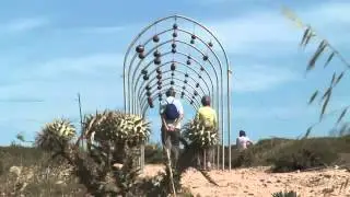 Sonidos con el viento