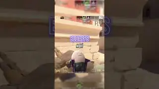 El mejor stream de 2024.