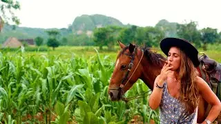 Los vídeos de mi viaje a Cuba en 2015 que nunca edité