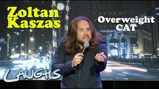Overweight Cat | Zoltan Kaszas | Stand-Up Comedy