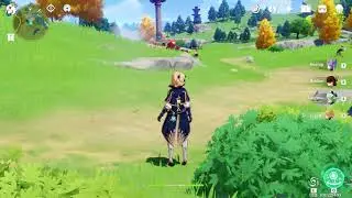 Genshin Impact bug