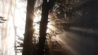 Озвучка автоответчика