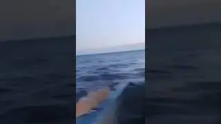 рыбалка