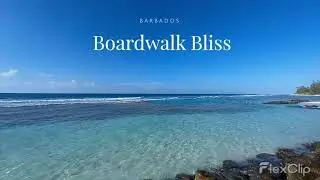 Barbados Boardwalk Bliss