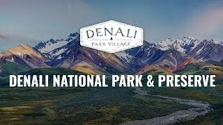 Denali Park Village | Denali National Park & Preserve