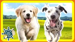 Dog Song for Kids | I Want a Puppy