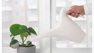 IKEA Watering can, white, 1.2 liter of water – Plastic Pot - IKEA Pakistan 03040417916