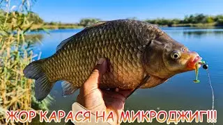 МИКРОДЖИГ. Спиннинг в дугу. ОКУНИ и КАРАСИ жрут приманки!!!