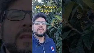 potatura fiori nespolo #miluzzo100 #2023 #orto #polliceverde #ortofacile #viral