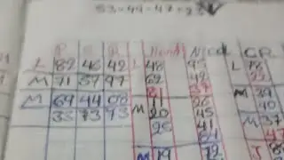 Bingo 77 Florida