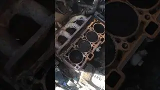 24 августа 2024 г.