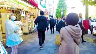 [Akihabara Walk in Tokyo] Visiting maid cafes ♪ (4K ASMR non-stop 1 hour 01 minutes)