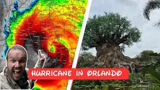 Florida hurricane hits and Disney Animal Kingdom orlando | storm Helene