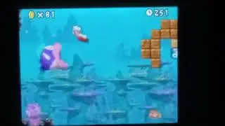 Something unusual you can do in New Super Mario Bros