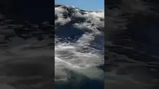 Мы дошли до Белого моря. От Питера