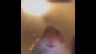 bruh