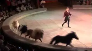 СПЕКТР ПОНИ