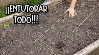 1001 formas de entutorar tus cultivos solo con esto || La Huertina De Toni