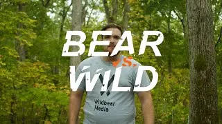 Bear vs Corporate