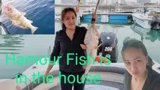 Unexpected Fishing,at ang laking Hamour ang nakuha namin