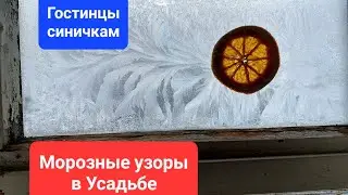 Сбежали из города в Усадьбу. Гостинцы синичкам