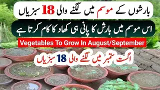 Grow These Fast Growing Vegetables In Monsoon Season / August to September