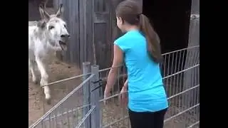A sinceridade e a pureza de um amor de verdade. Como é lindo o amor dos animais pelos seus donos.