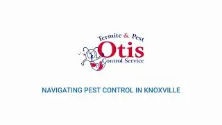 Navigating Pest Control in Knoxville
