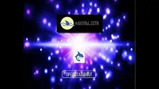 Стратегия победителей вместе с Акулами Сети