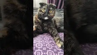 ЗАГАДКИ от Нюши🧐😜😄 