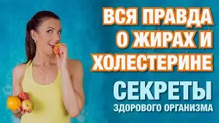 ВСЯ ПРАВДА О ЖИРАХ И ХОЛЕСТЕРИНЕ! (запись эфира с Фейсбука)