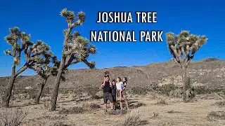 MUST SEE Spots in Joshua Tree National Park