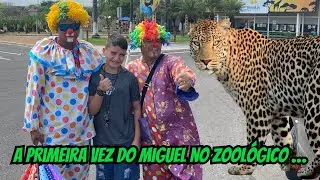 A primeira vez do Miguel no zoológico - Fizemos um piquenique!!! #viral #criative #humor #comedy #fy