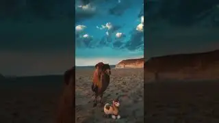 🇰🇿 KAZAKHSTAN Don't Seem Real