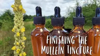 Finishing my Alcohol Free Mullein Tincuture