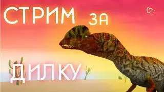 Стрим за дилку начало в 12:00 по МСК