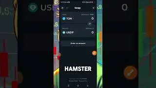HOW TO CONVERT HAMSTER KOMBAT TO USDT ON TELEGRAM TONKEEPER WALLET