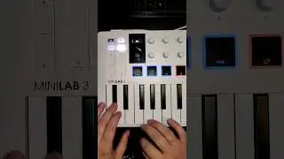 1996 TECHNO BANGER!  #cover #arturia #minilab3 #music #electronicmusic #90s