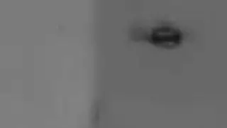 found footage no.1349