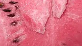 10 августа 2021 г.