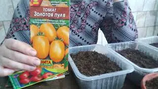 Обзор и посадка семян томатов