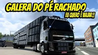 #ets2 #maparbr I BOIADEIRA DO ZÉ NETO I MAPA RBR + G27 I #volvo #boiadeiros