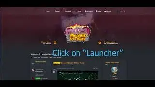 How to install the Modded Network Launcher